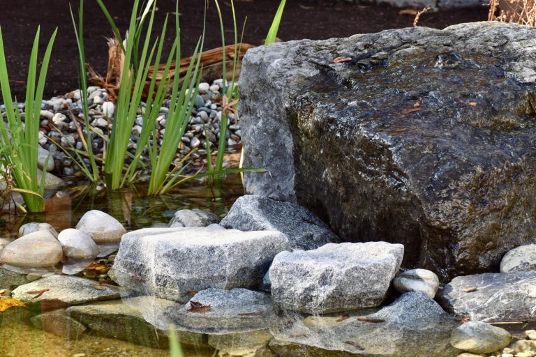 Lebendiges Element – Wasser im naturnahen Garten - ein Webinar mit Oliver Daxauer