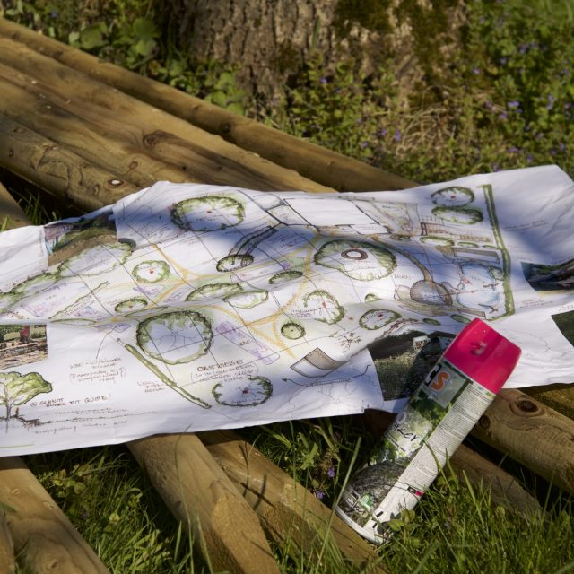 Nachhaltige Gartengestaltung mit System: Strukturelemente richtig planen und platzieren - ein Webinar mit Sacha Sohn