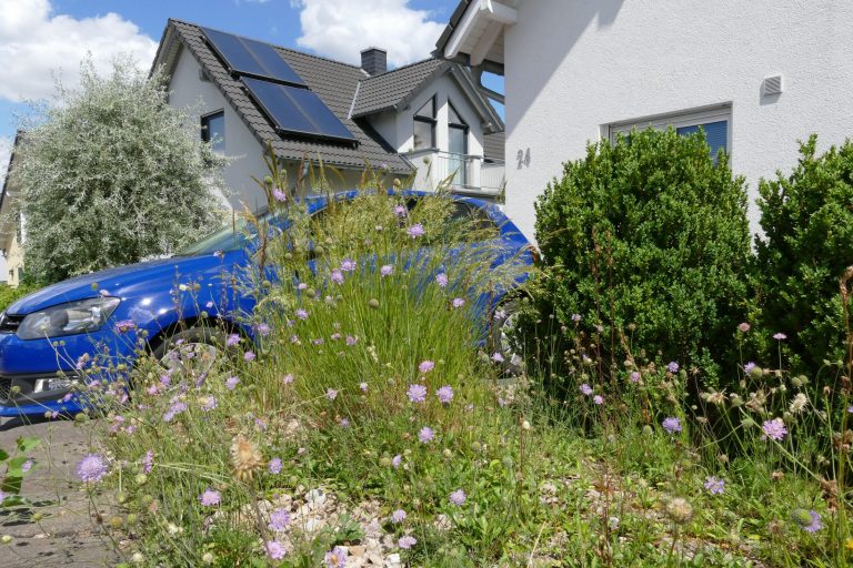 Klimafest und artenreich – warum biodiversitätsfördernde Gärten ein Teil der Lösung in unserer wärmer werdenden Welt sind - ein Webinar mit Ulrike Aufderheide